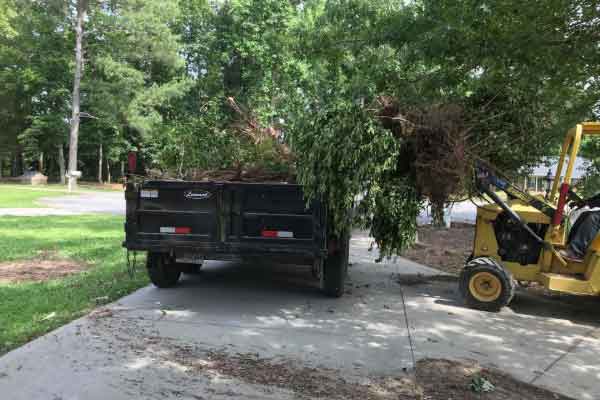 Land Clearing Equipment