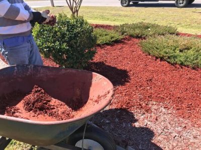 Garden Landscape Installation